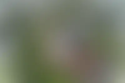 фоновое изображение