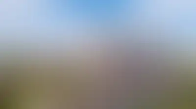 фоновое изображение