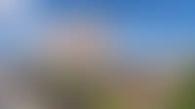 фоновое изображение
