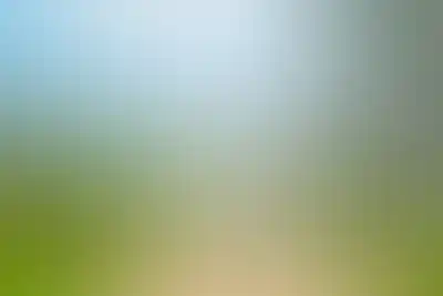 изображение отделки
