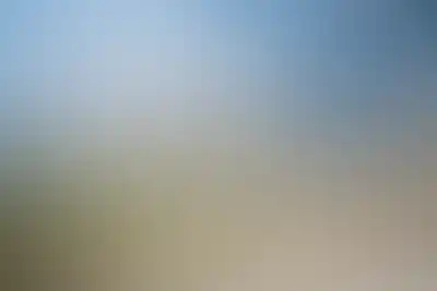 изображение отделки