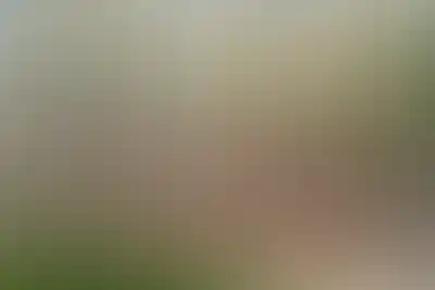 изображение отделки