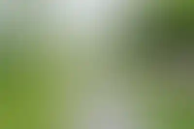 изображение отделки