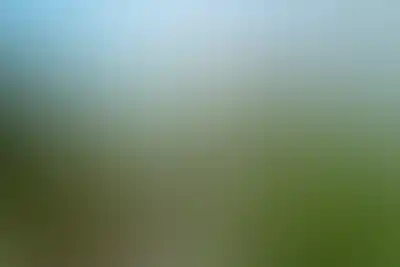 изображение отделки