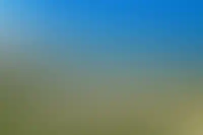 изображение отделки