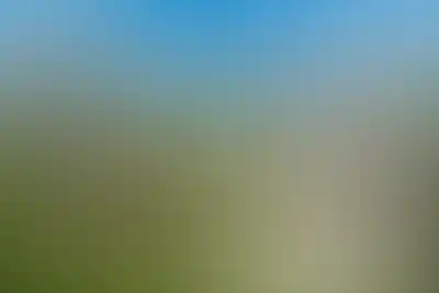 изображение отделки