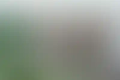 изображение отделки