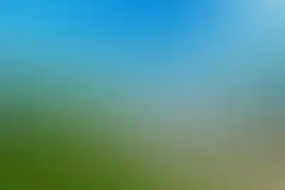 изображение отделки