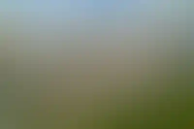 изображение отделки