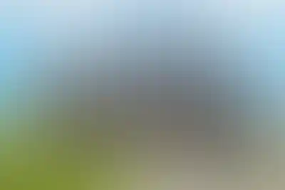 изображение отделки