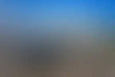 изображение отделки
