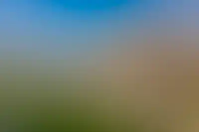 изображение отделки