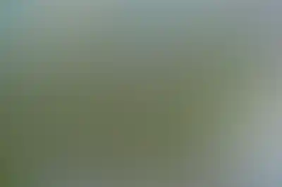 изображение отделки