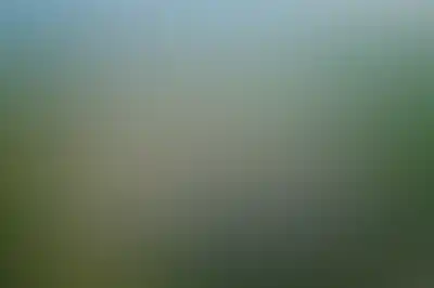 изображение отделки