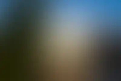 изображение отделки