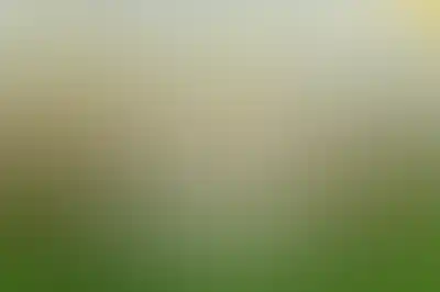 изображение отделки