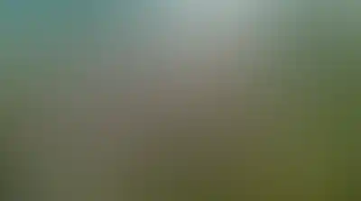 изображение отделки