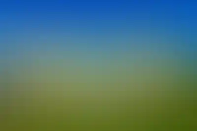 изображение отделки