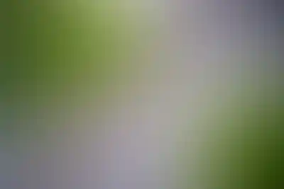 изображение отделки
