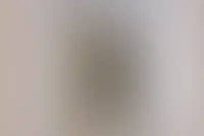 изображение отделки